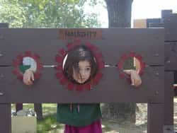 in the stocks in the stocks