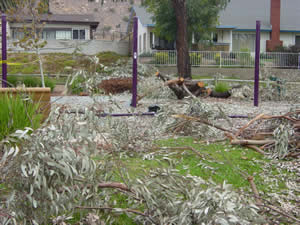 playground wind damage playground wind damage