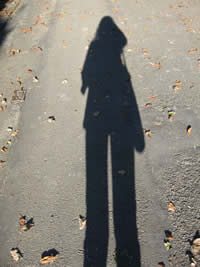 shadow play