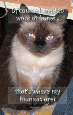 Do you need to work at home?