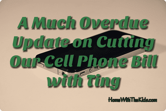 A Much Overdue Update on Cutting Our Cell Phone Bill With Ting