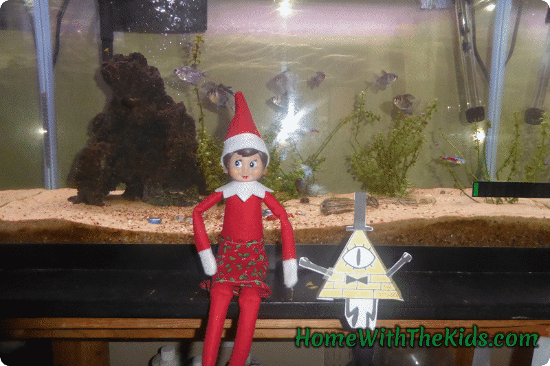 Bill Cipher and elf
