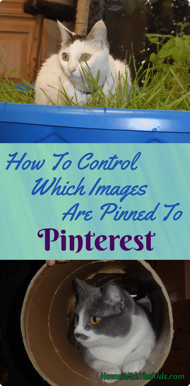 How To Control Which Images Are Pinned To Pinterest