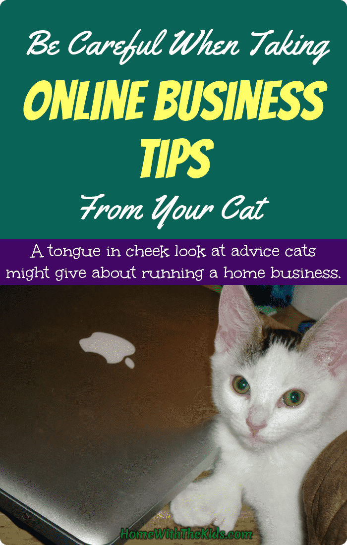 Be Careful When Taking Online Business Tips From Your Cat