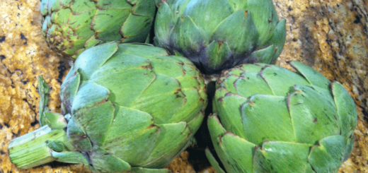 artichokes